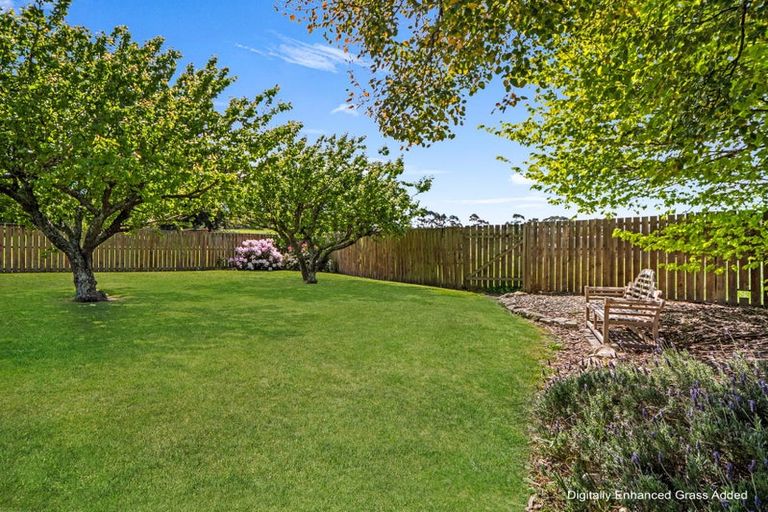 Photo of property in 312 Oamaru-alma Road, Alma, Oamaru, 9491