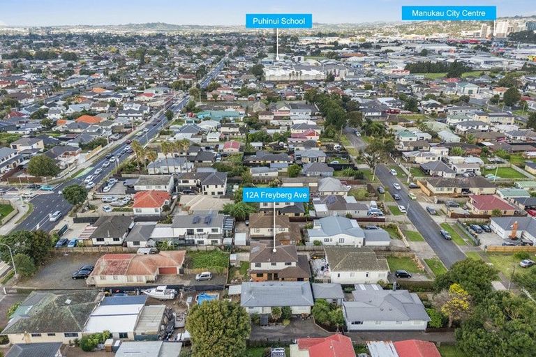 Photo of property in 12a Freyberg Avenue, Papatoetoe, Auckland, 2104