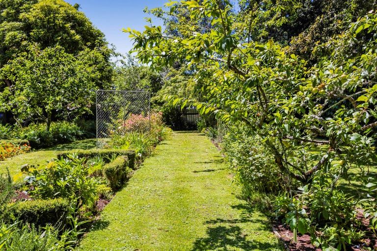 Photo of property in 42a Regan Street, Stratford, 4332