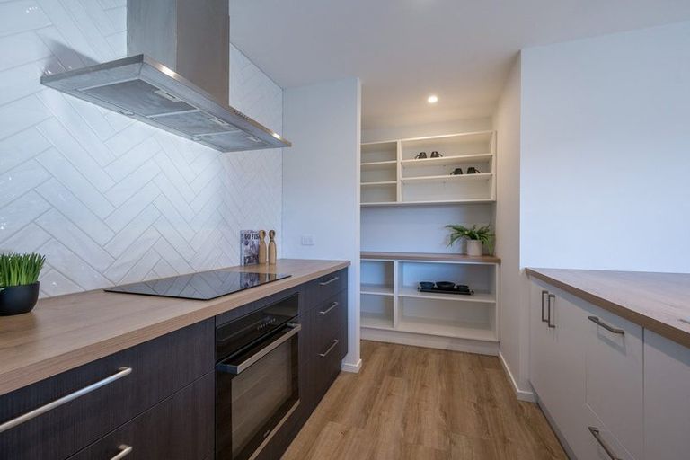 Photo of property in 8 Esher Lane, Richmond, 7020