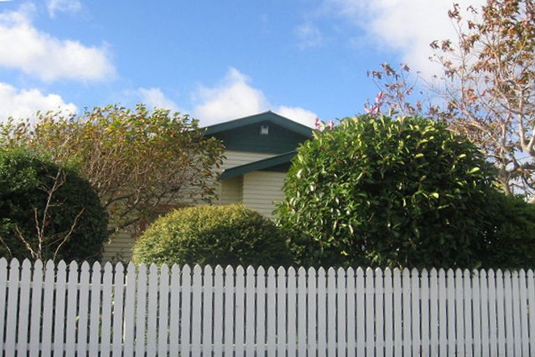 Photo of property in 61 Shamrock Street, Takaro, Palmerston North, 4412
