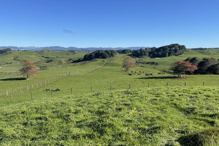 Photo of property in 80a Mangaotaki Road, Piopio, 3971