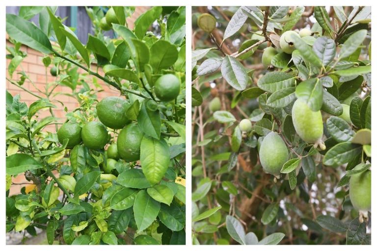 Photo of property in 32 Vale Street, Otumoetai, Tauranga, 3110