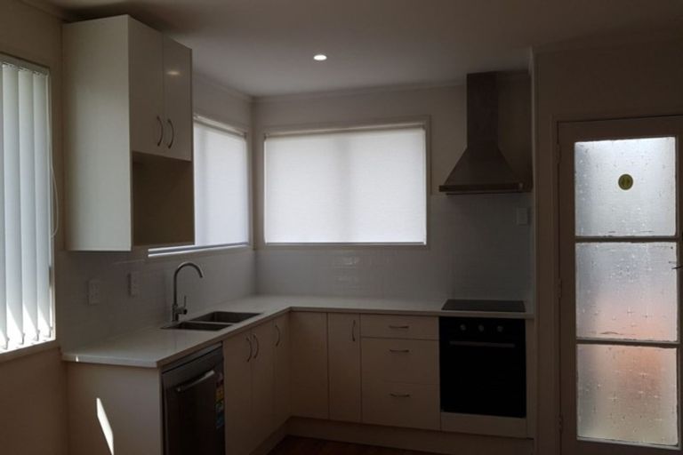 Photo of property in 46a Goodwin Drive, Rosehill, Papakura, 2113