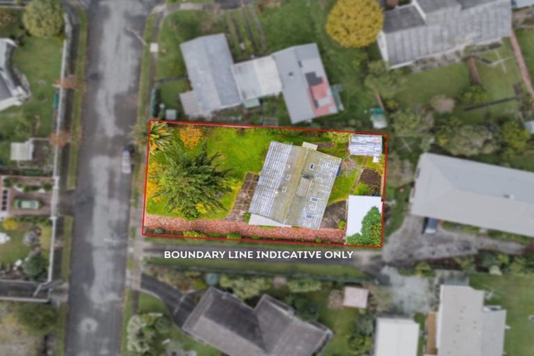 Photo of property in 3 Alexander Street, Waikanae, 5036