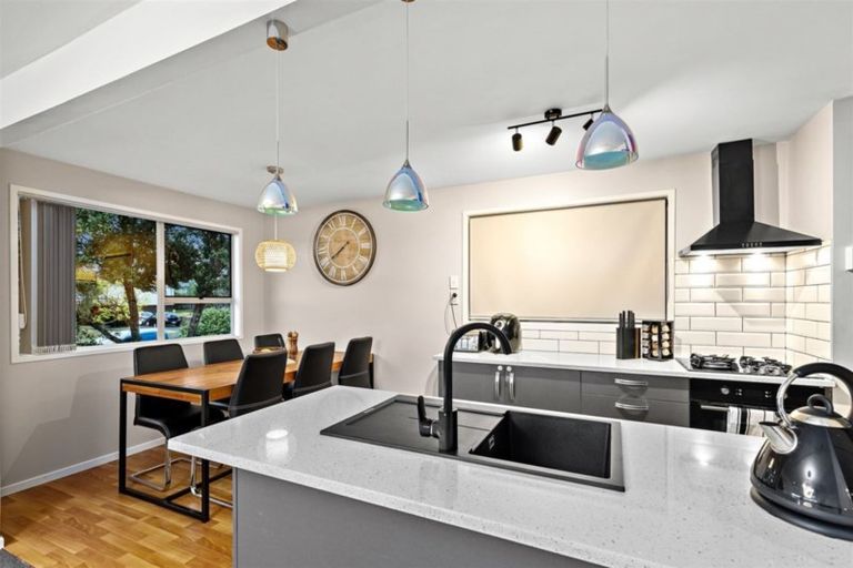 Photo of property in 49 Larissa Avenue, Henderson, Auckland, 0610