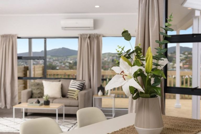 Photo of property in 78 Hammond Street, Hairini, Tauranga, 3112