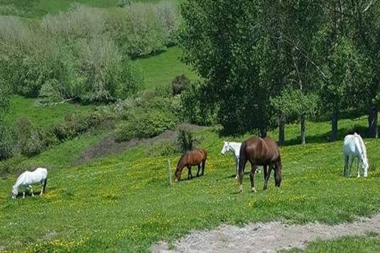 Photo of property in 44 Slater Road, Ruawaro, Huntly, 3772