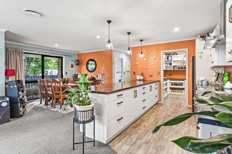 Photo of property in 49 Daniell Street, Solway, Masterton, 5810