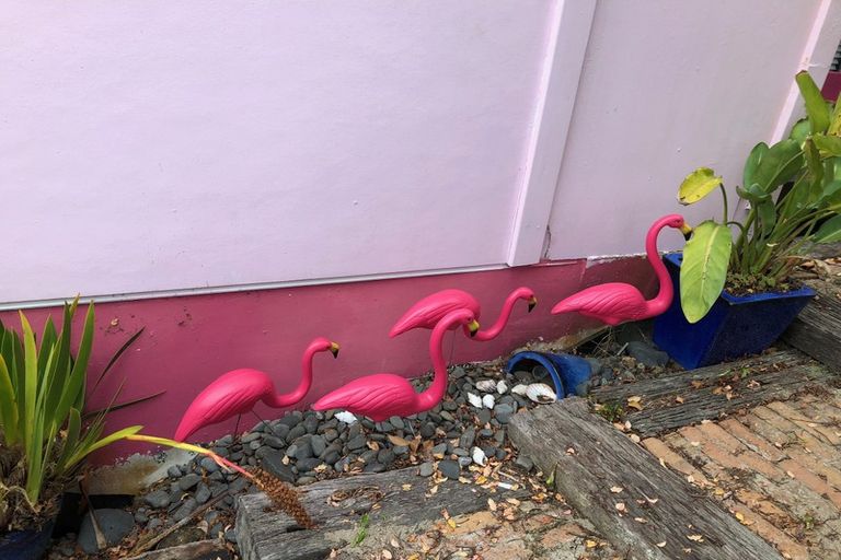 Photo of property in 53 Western Avenue, Omokoroa, 3114