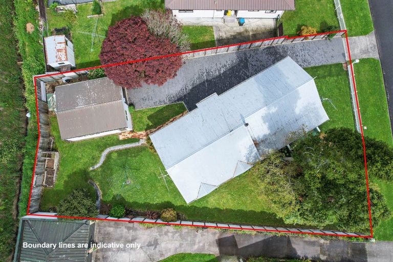Photo of property in 59 Sinclair Terrace, Te Awamutu, 3800