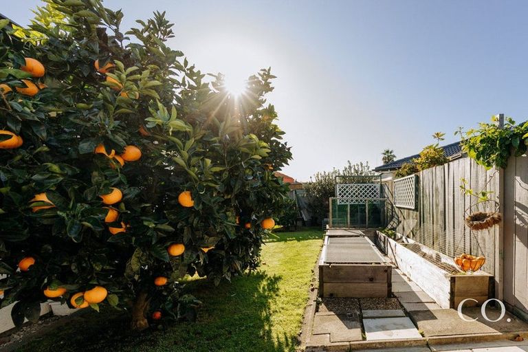 Photo of property in 59b Plateau Heights, Mount Maunganui, 3116