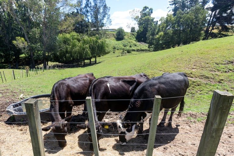 Photo of property in 768 Glen Murray Road, Rangiriri, Huntly, 3772