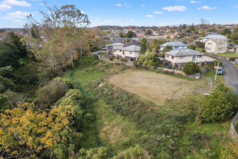 Photo of property in 29 Balloch Street, Fairfield, Hamilton, 3214