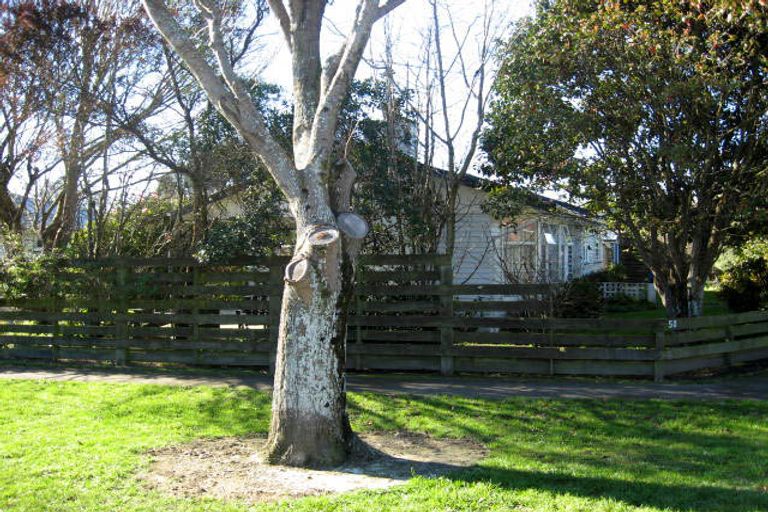 Photo of property in 50 Costley Street, Carterton, 5713