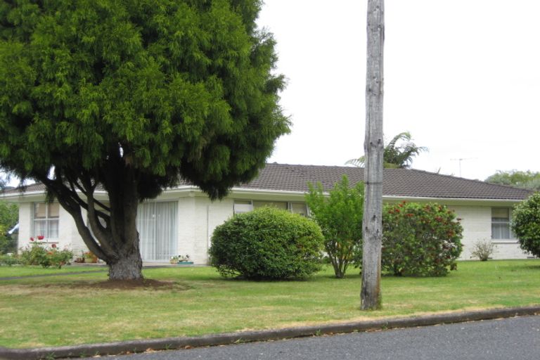 Photo of property in 8 Mcnally Road, Pukekohe, 2120