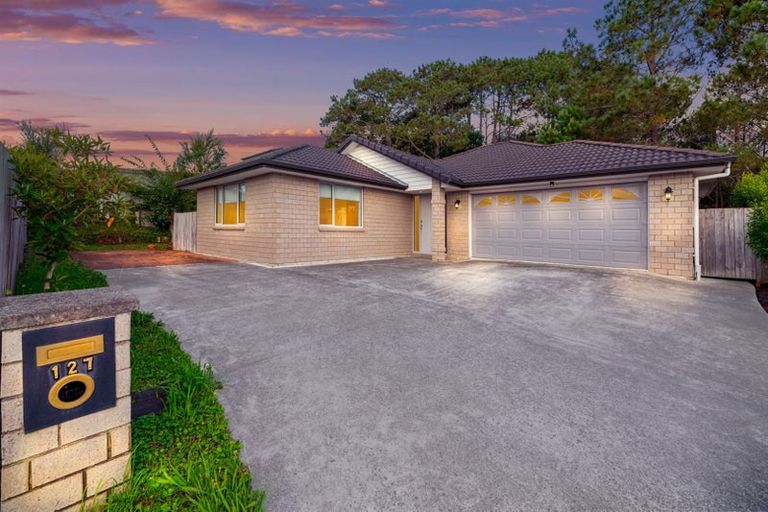 Photo of property in 127 Rangeview Road, Sunnyvale, Auckland, 0612