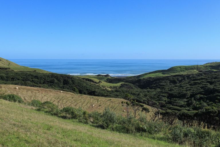 Photo of property in 1644b Whaanga Road, Raglan, 3296