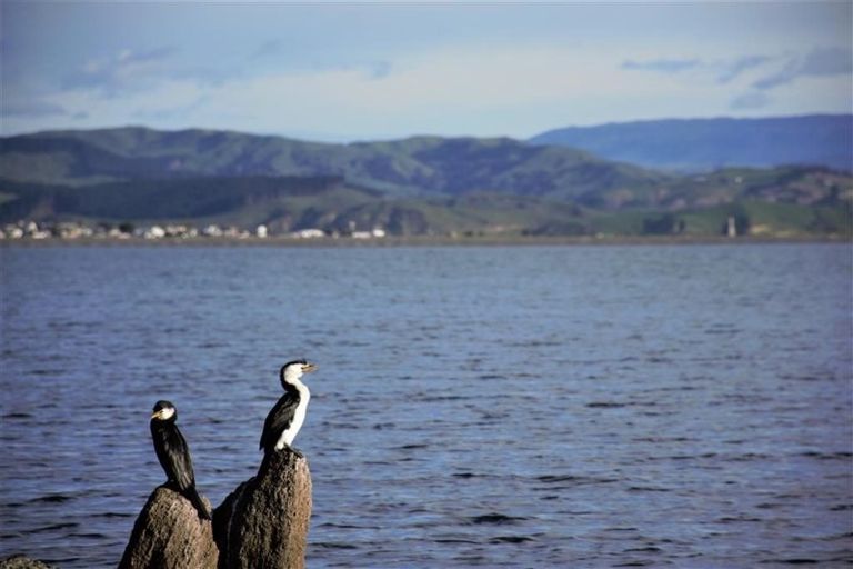 Photo of property in 4 Waghorne Street, Ahuriri, Napier, 4110
