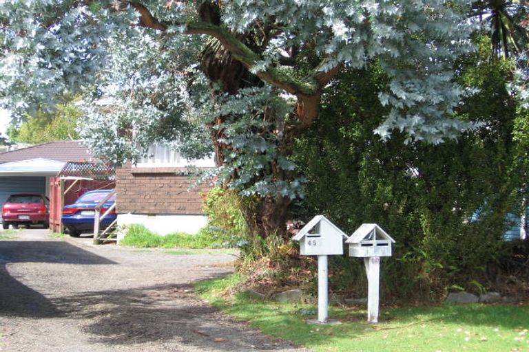 Photo of property in 45 Thornlow Street, Glendene, Auckland, 0602