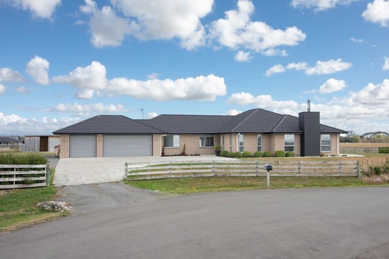 Photo of property in 25 Fallow Avenue, Feilding, 4775