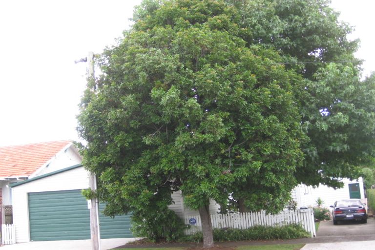Photo of property in 4 Newcastle Terrace, Mount Albert, Auckland, 1025