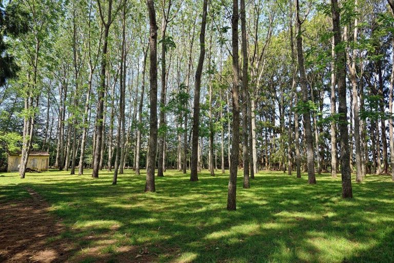 Photo of property in 230 Harper Road, Makauri, Gisborne, 4071