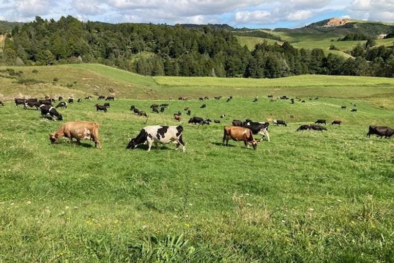 Photo of property in 755 Limeworks Loop Road, Karamu, Hamilton, 3285