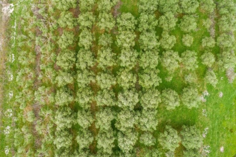 Photo of property in 7 Harding Road, Wellsford, 0972