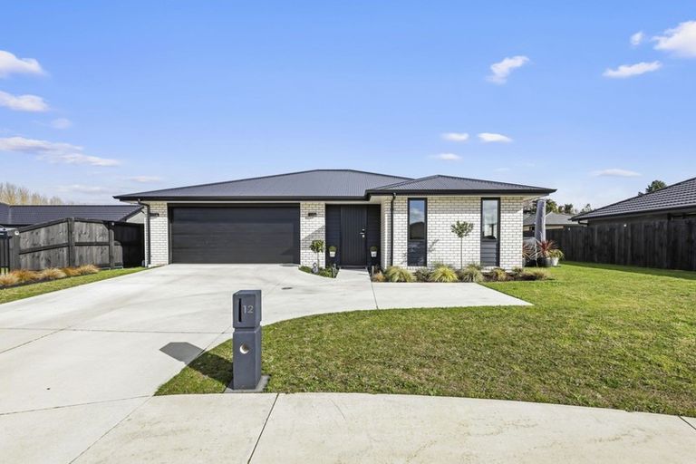 Photo of property in 12 Turutu Place, Ngaruawahia, 3720