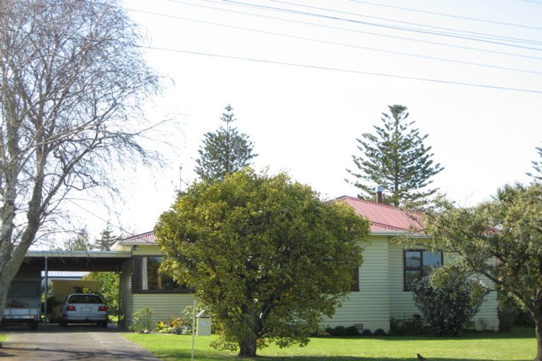 Photo of property in 133 Queen Street, Wairoa, 4108