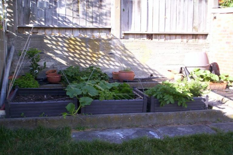 Photo of property in 49 Aro Street, Aro Valley, Wellington, 6021