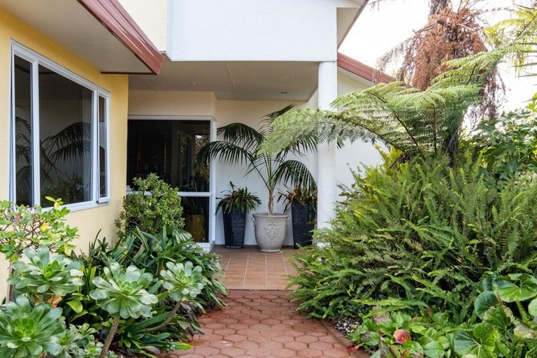 Photo of property in 50 Park Road, Greenmeadows, Napier, 4112