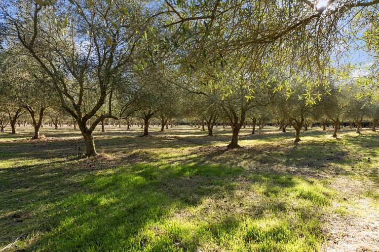 Photo of property in 540 Finlays Road, West Melton, Christchurch, 7675