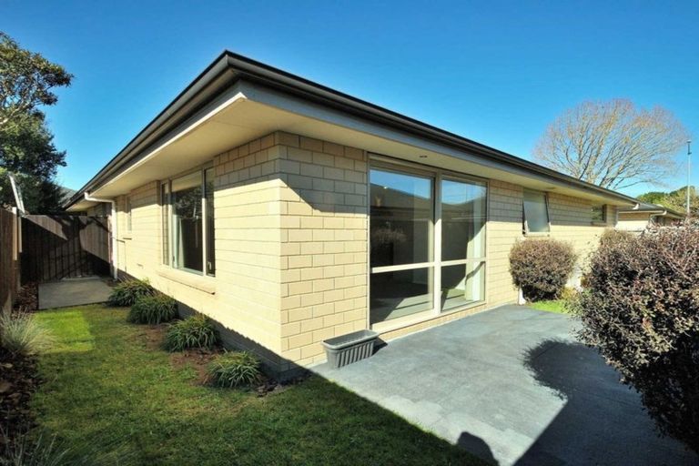 Photo of property in 50 Thackeray Place, Waltham, Christchurch, 8023