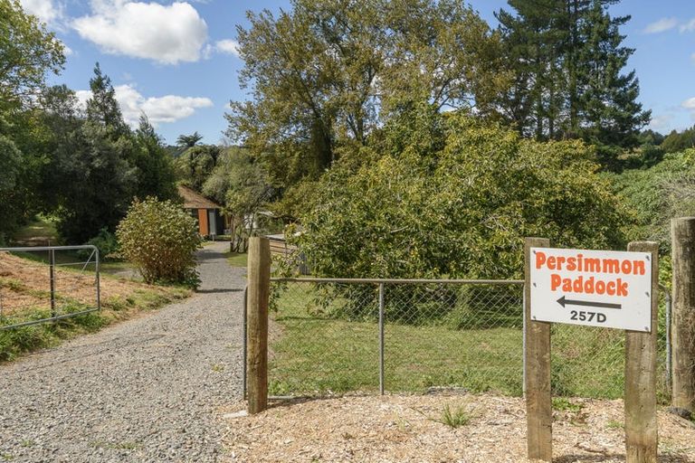 Photo of property in 257d Whakamarama Road, Whakamarama, Tauranga, 3179