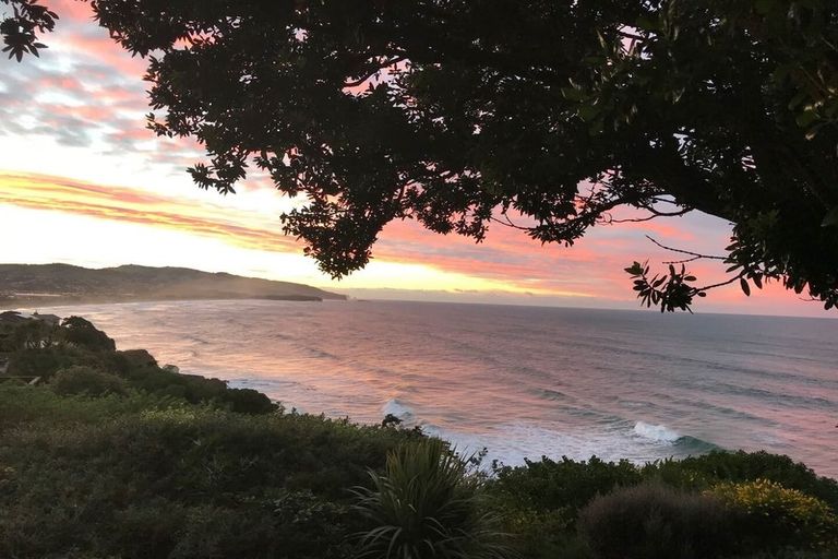 Photo of property in 59 Cliffs Road, Saint Clair, Dunedin, 9012