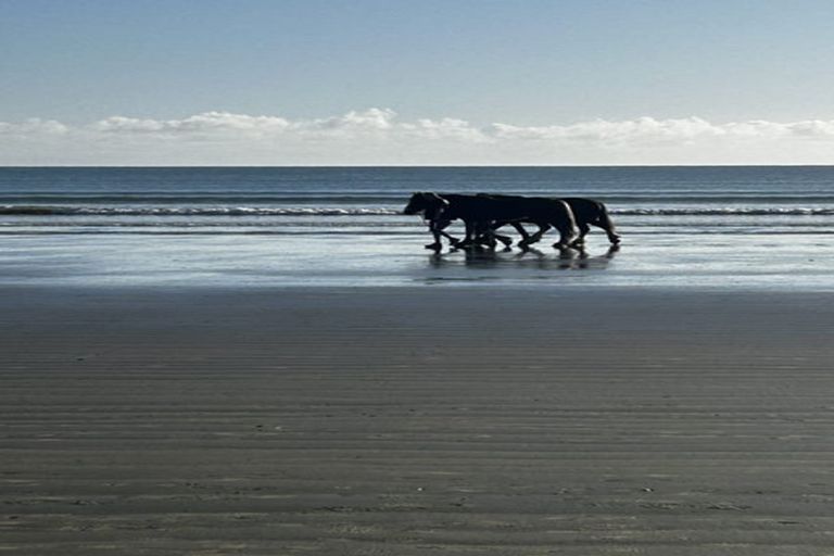 Photo of property in 2/445 Hibiscus Coast Highway, Orewa, 0931