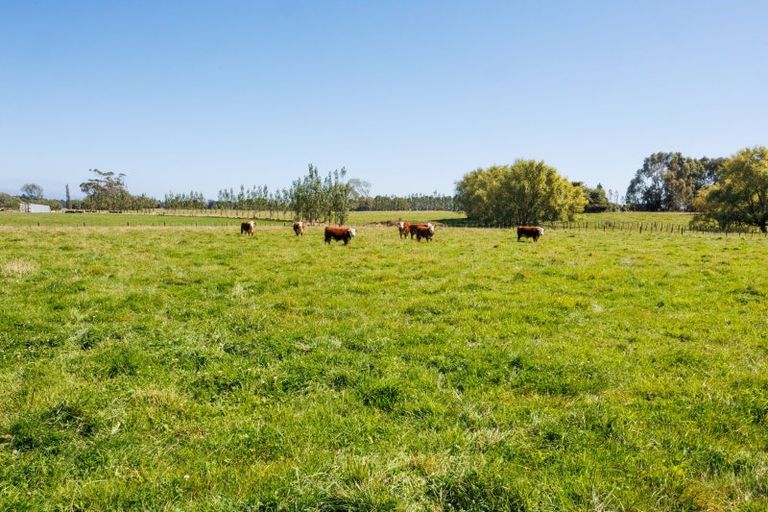 Photo of property in 89 Ulysses Road, Ashhurst, Palmerston North, 4470