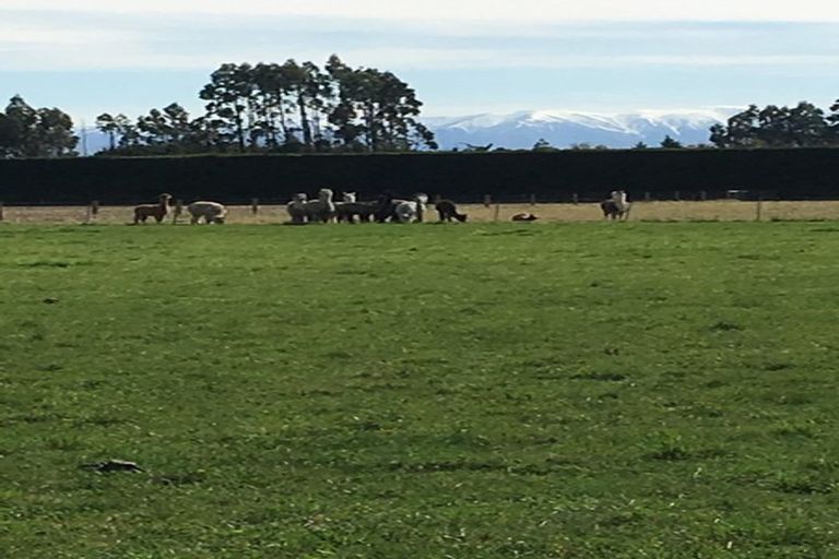 Photo of property in 3/1101 Greendale Road, Darfield, 7571