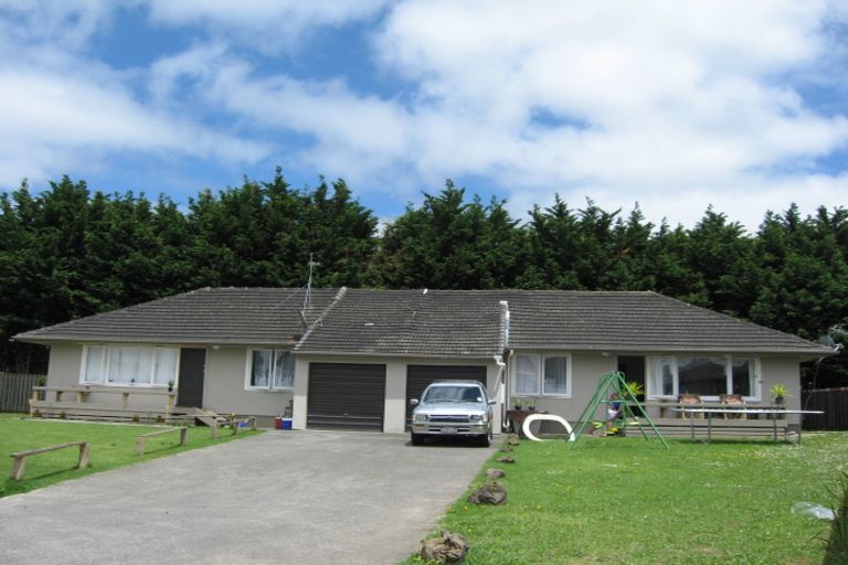 Photo of property in 12 Frank Hewitt Street, Pukekohe, 2120
