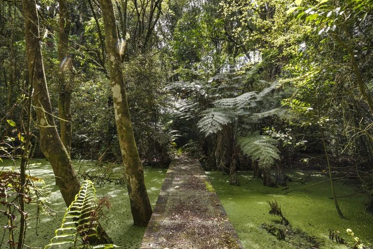 Photo of property in 180 Moonshine Valley Road, Aokautere, 4471