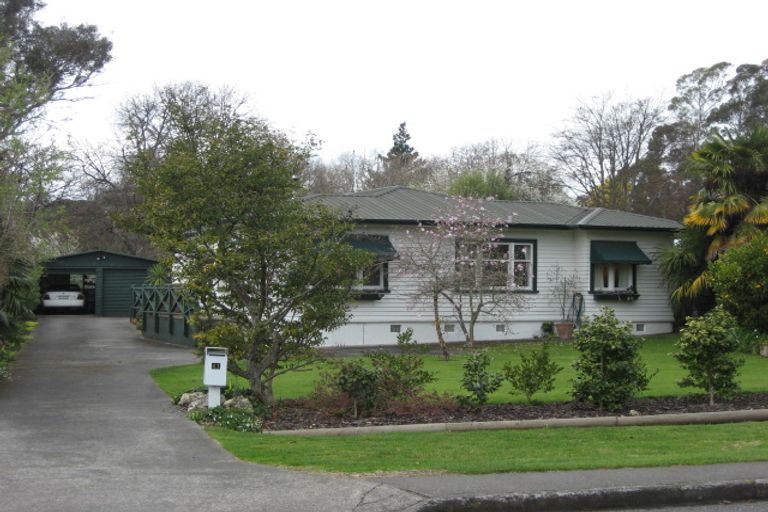 Photo of property in 41 Mchardy Street, Havelock North, 4130