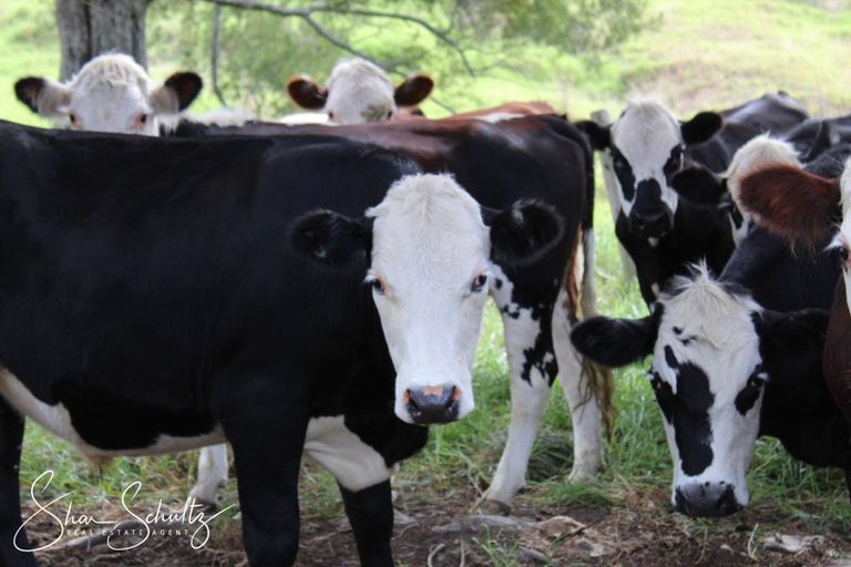 Photo of property in 215c Heatley Road, Whakapirau, 0583