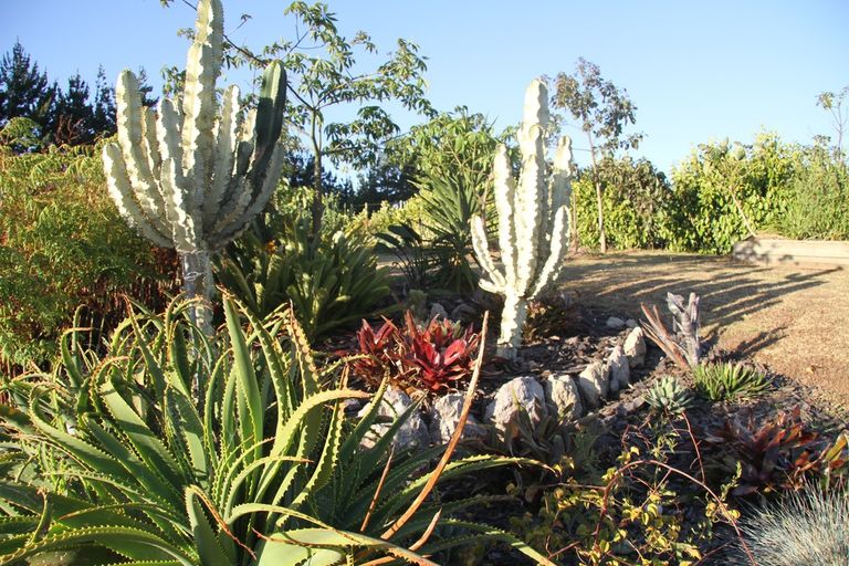 Photo of property in 4805c Far North Road, Houhora, Kaitaia, 0484