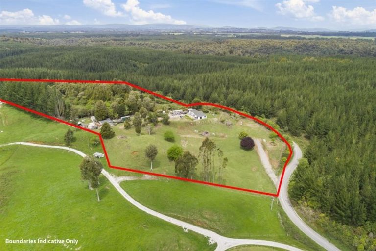 Photo of property in 245 Mangatoi Road, Oropi, Tauranga, 3173