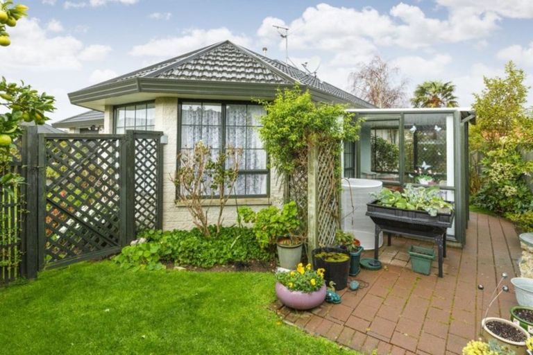 Photo of property in 8/63 North Street, Palmerston North, 4410