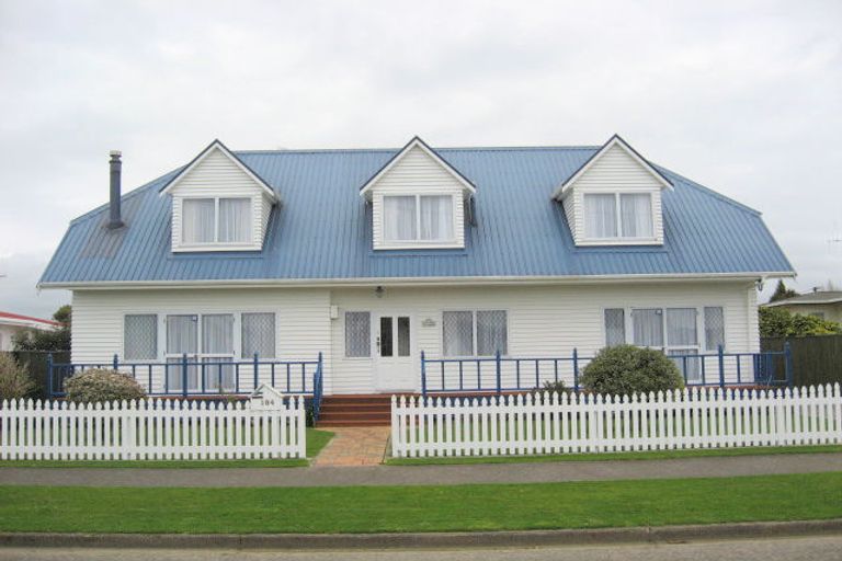 Photo of property in 184 Tiro Tiro Road, Levin, 5510