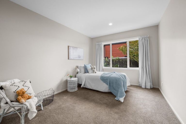 Photo of property in 19 Ludlow Drive, Huntingdon, Ashburton, 7774