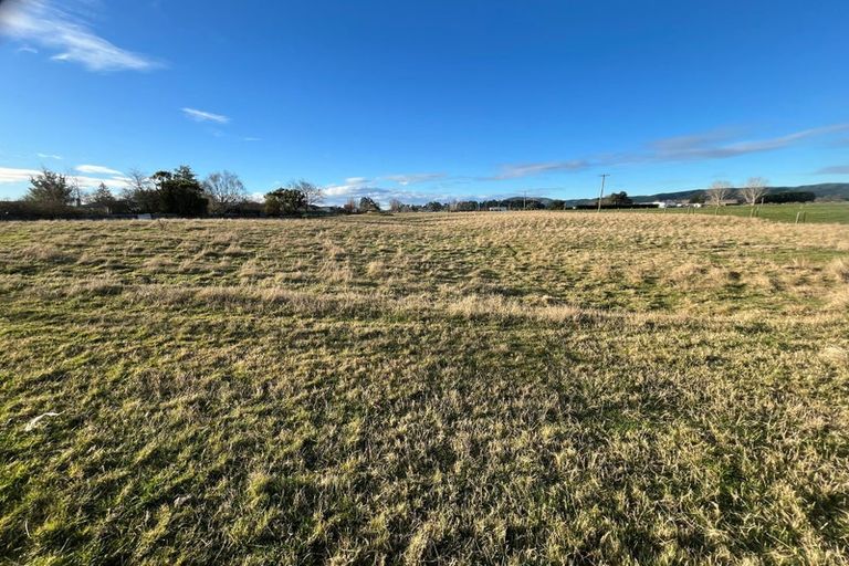 Photo of property in 19 Cowper Street, Milton, 9220